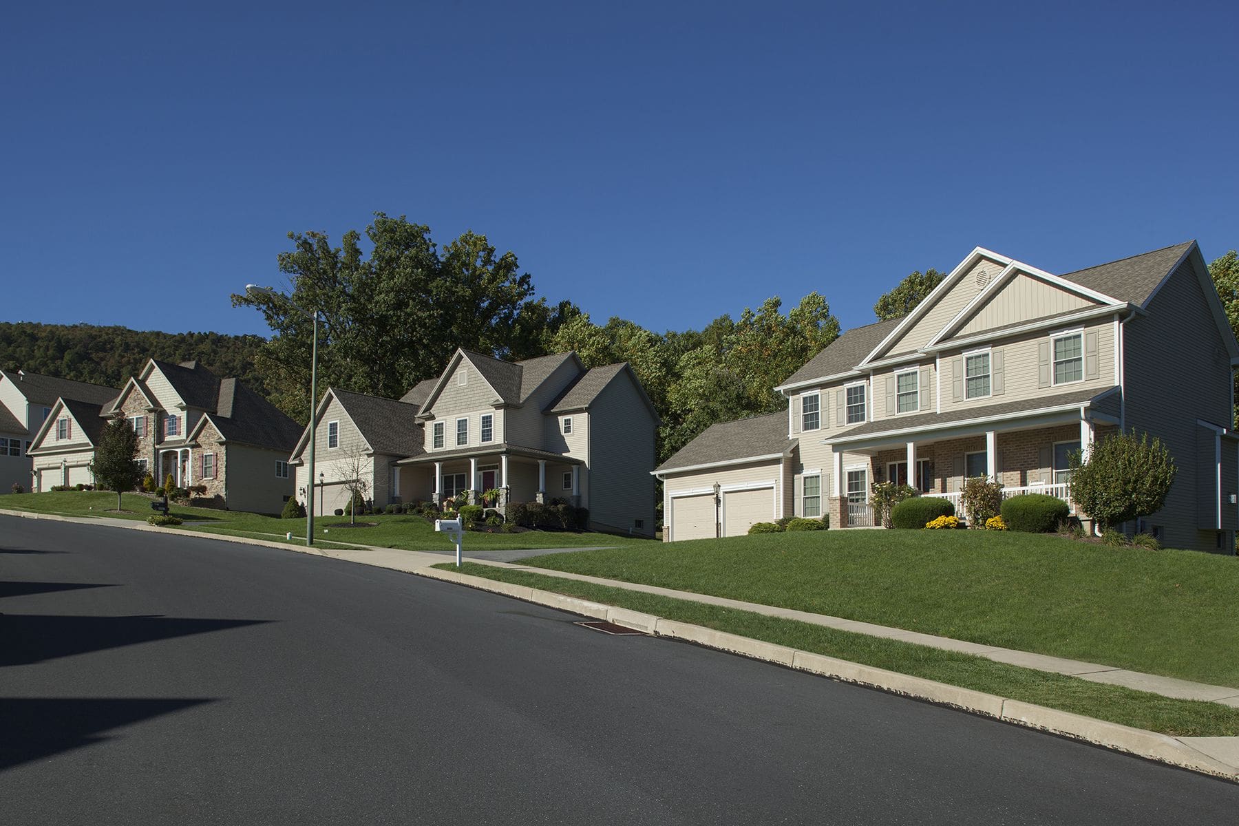 McNaughton_MargaretsGrove_001_compressed